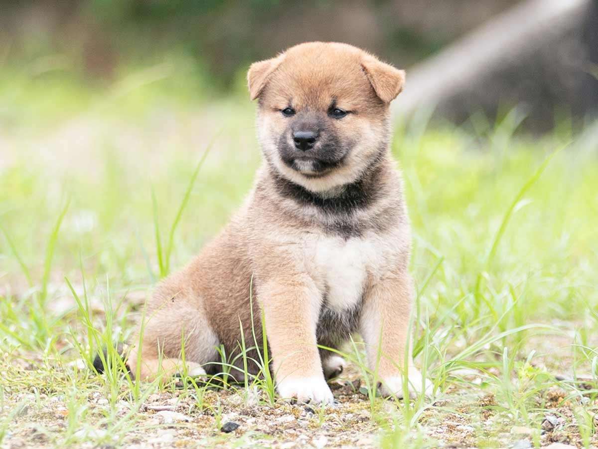 DSC05936-Edit DSC05936-Edit