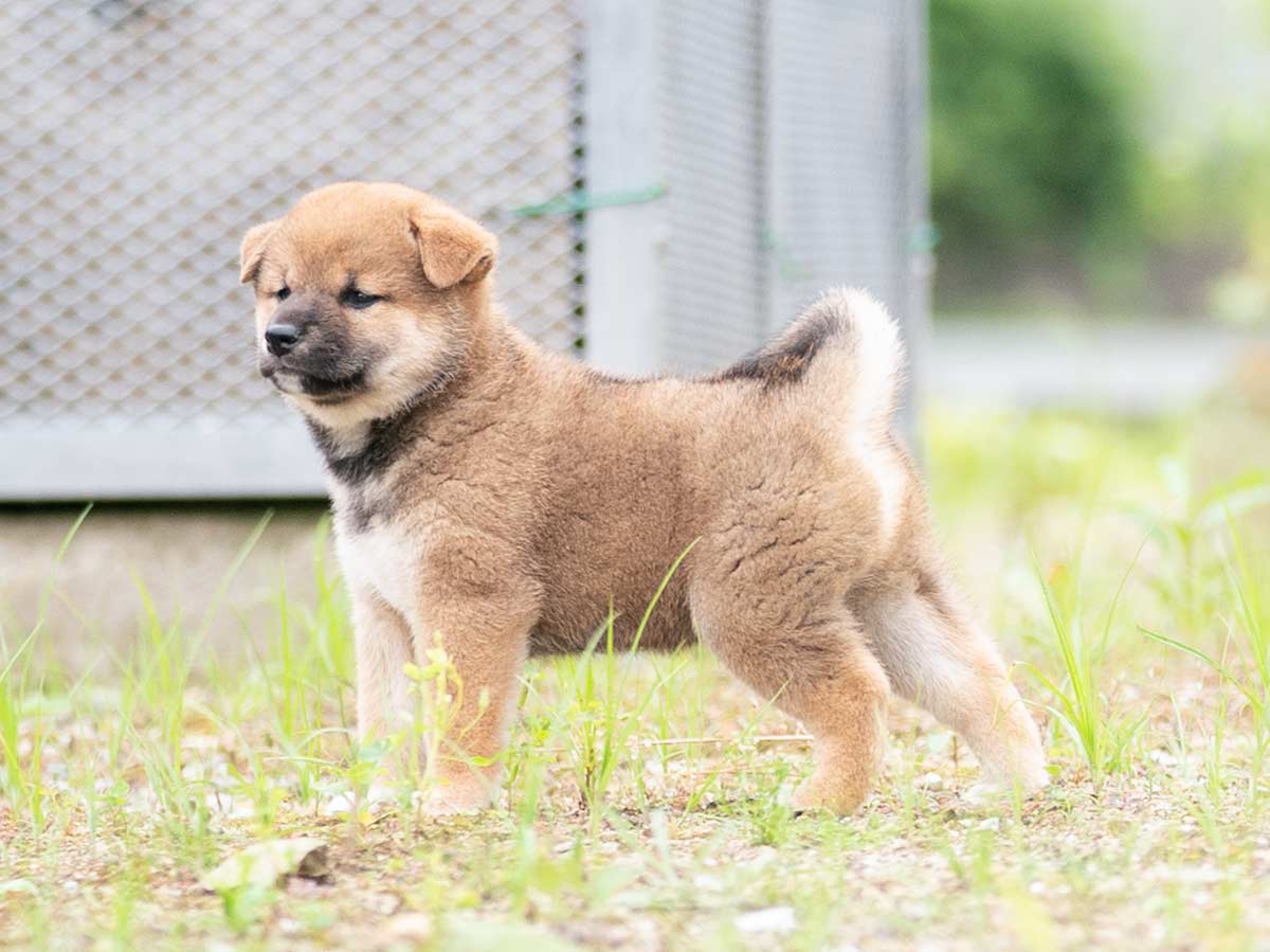 DSC05958-Edit DSC05958-Edit