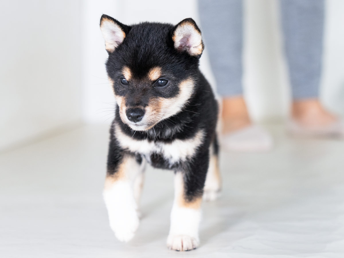 DSC06437-Edit DSC06437-Edit