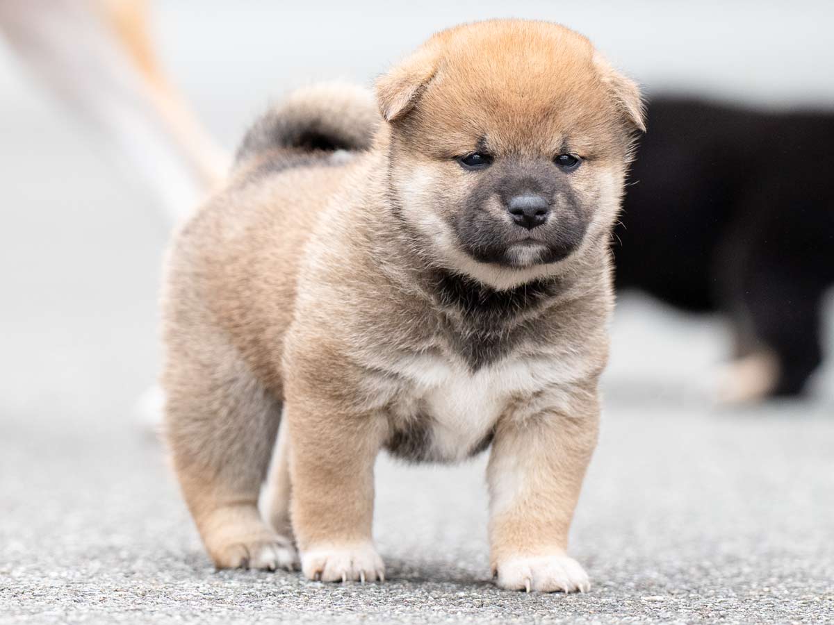 DSC07183-4350 DSC07183-4350