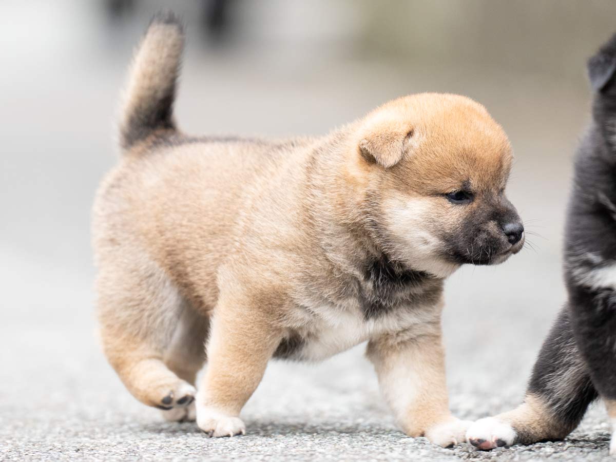 DSC07585-4350 DSC07585-4350