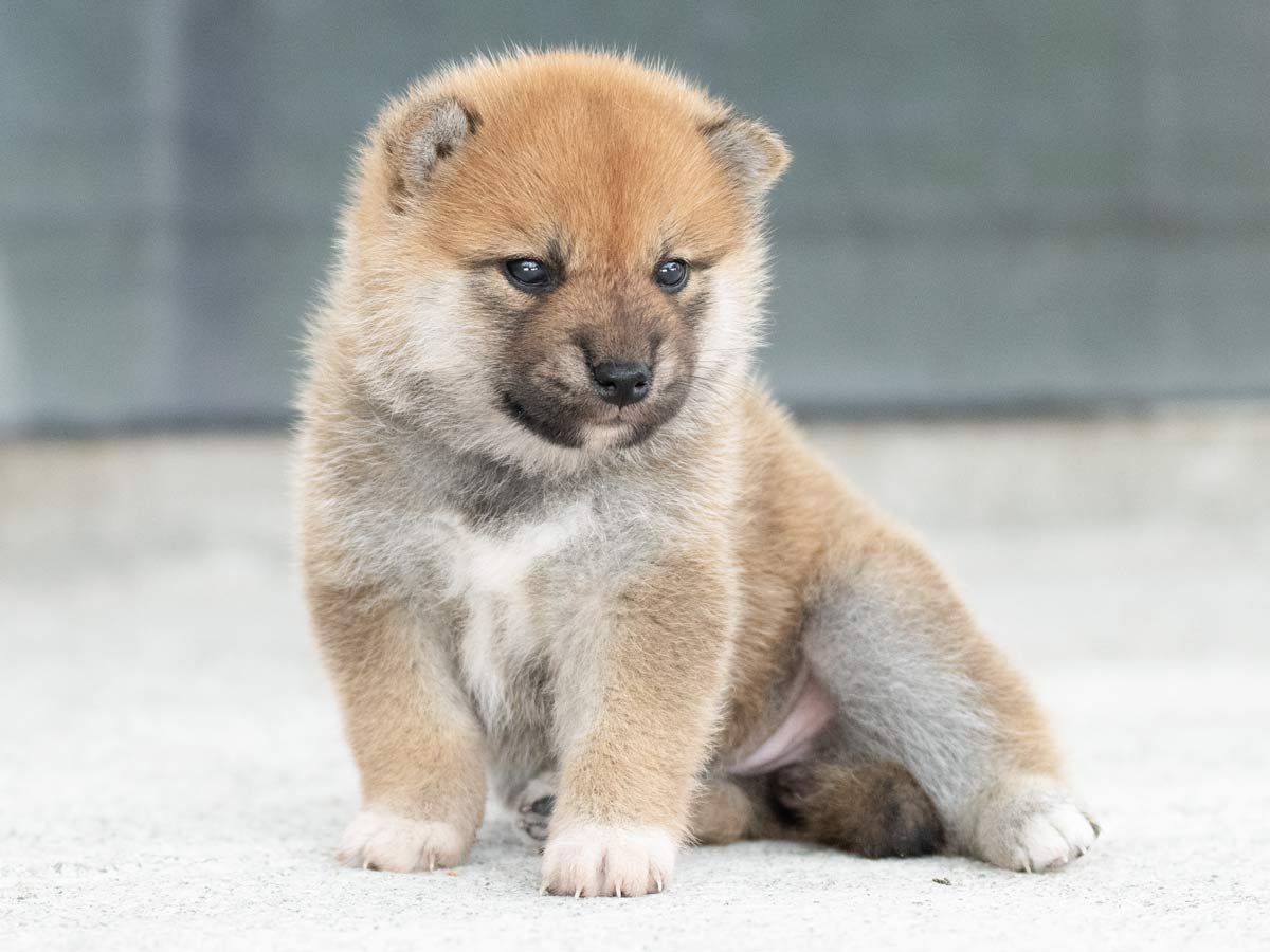 DSC08870-Edit DSC08870-Edit