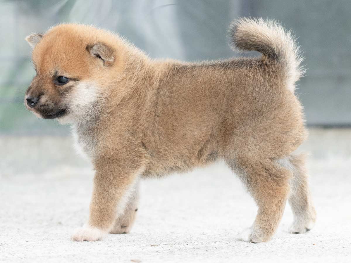 DSC08888-Edit DSC08888-Edit