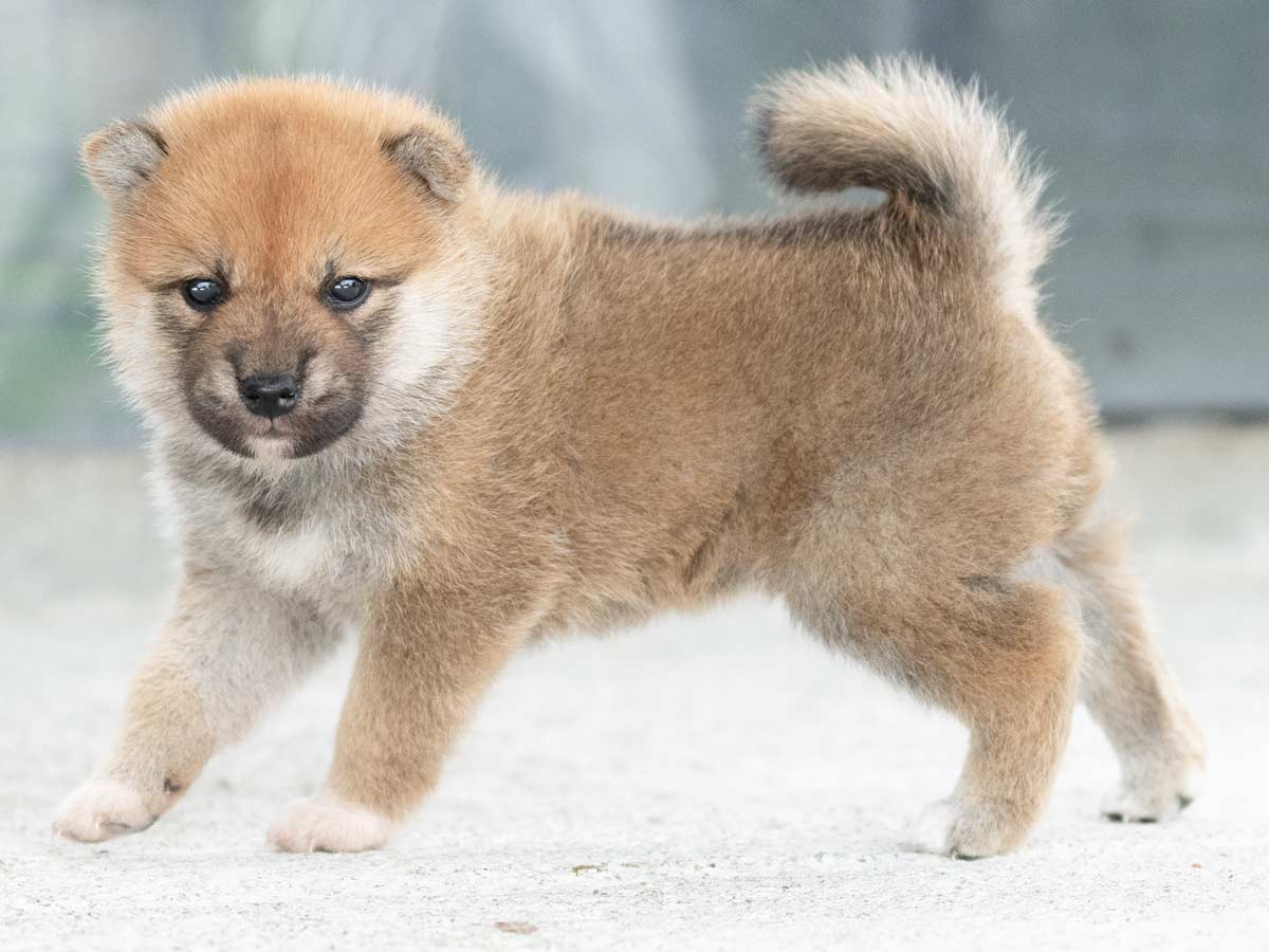 DSC08901-Edit DSC08901-Edit