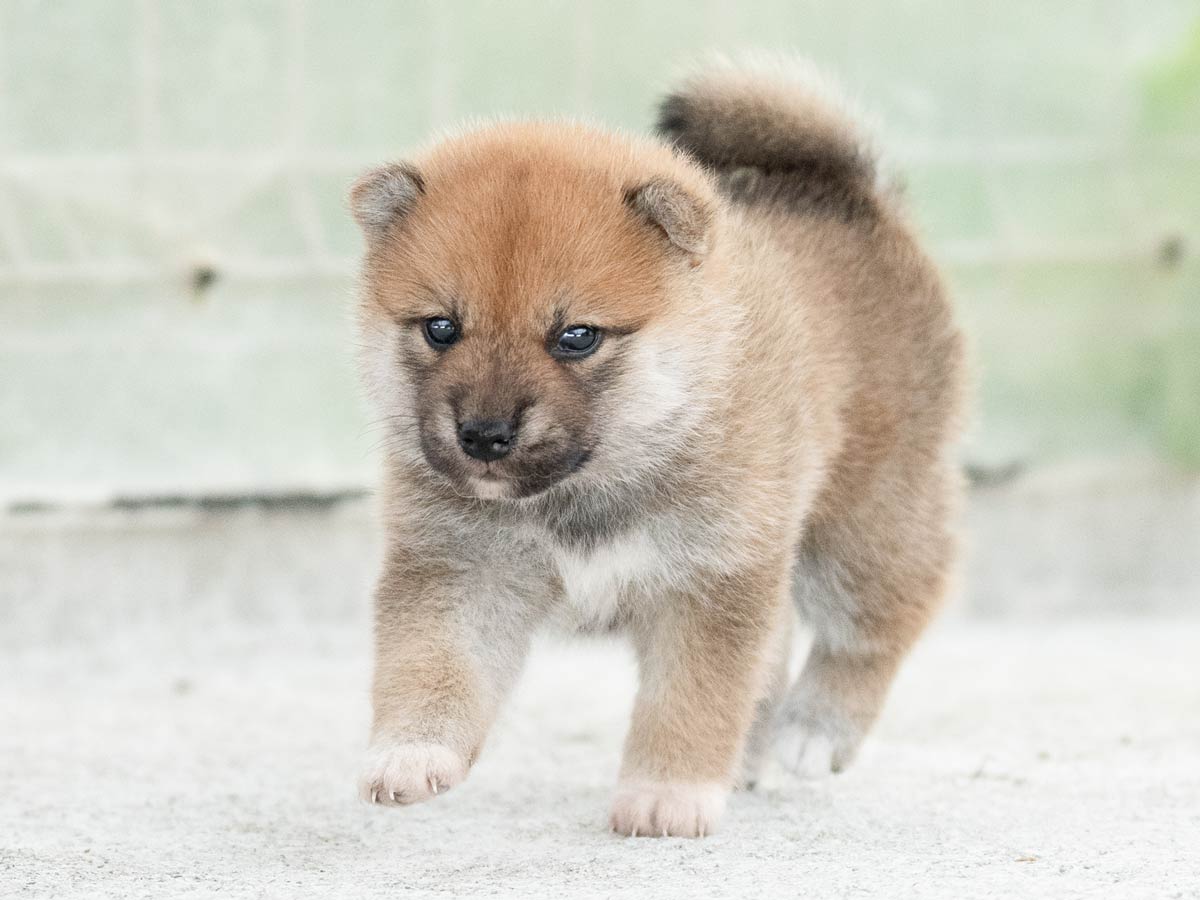 DSC08947-Edit DSC08947-Edit