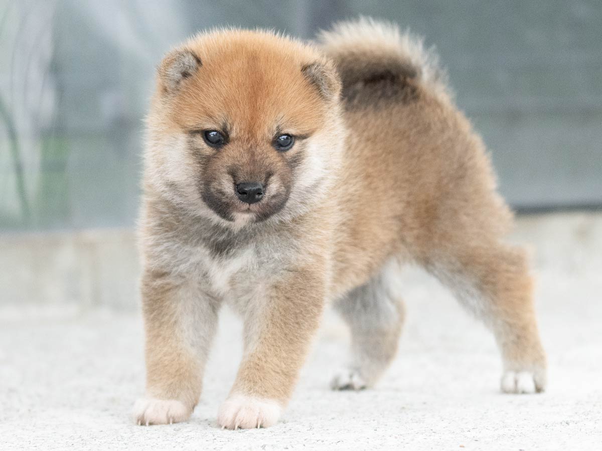 DSC09031-Edit DSC09031-Edit