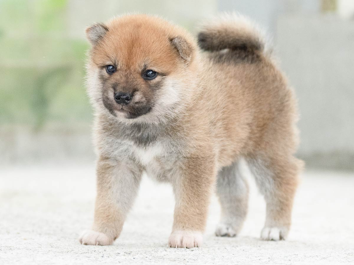 DSC09193-Edit DSC09193-Edit