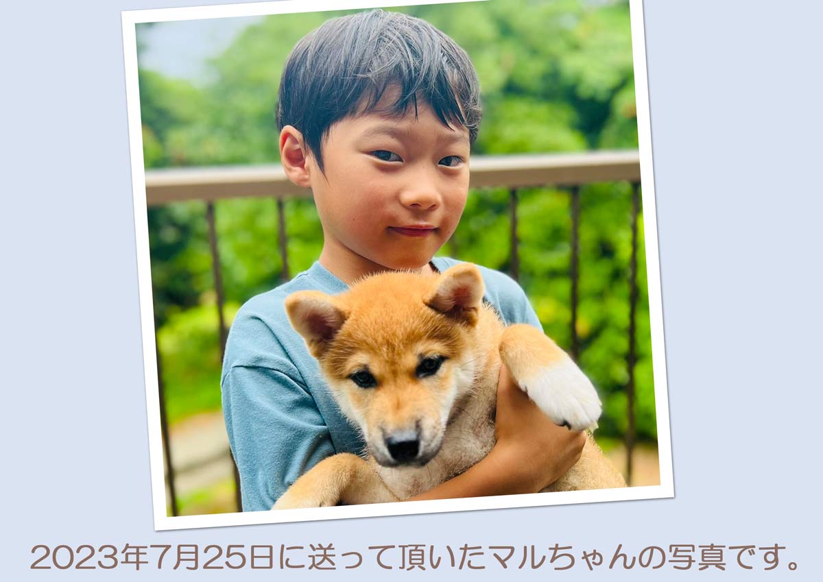 sudati4344コメント sudati4344コメント