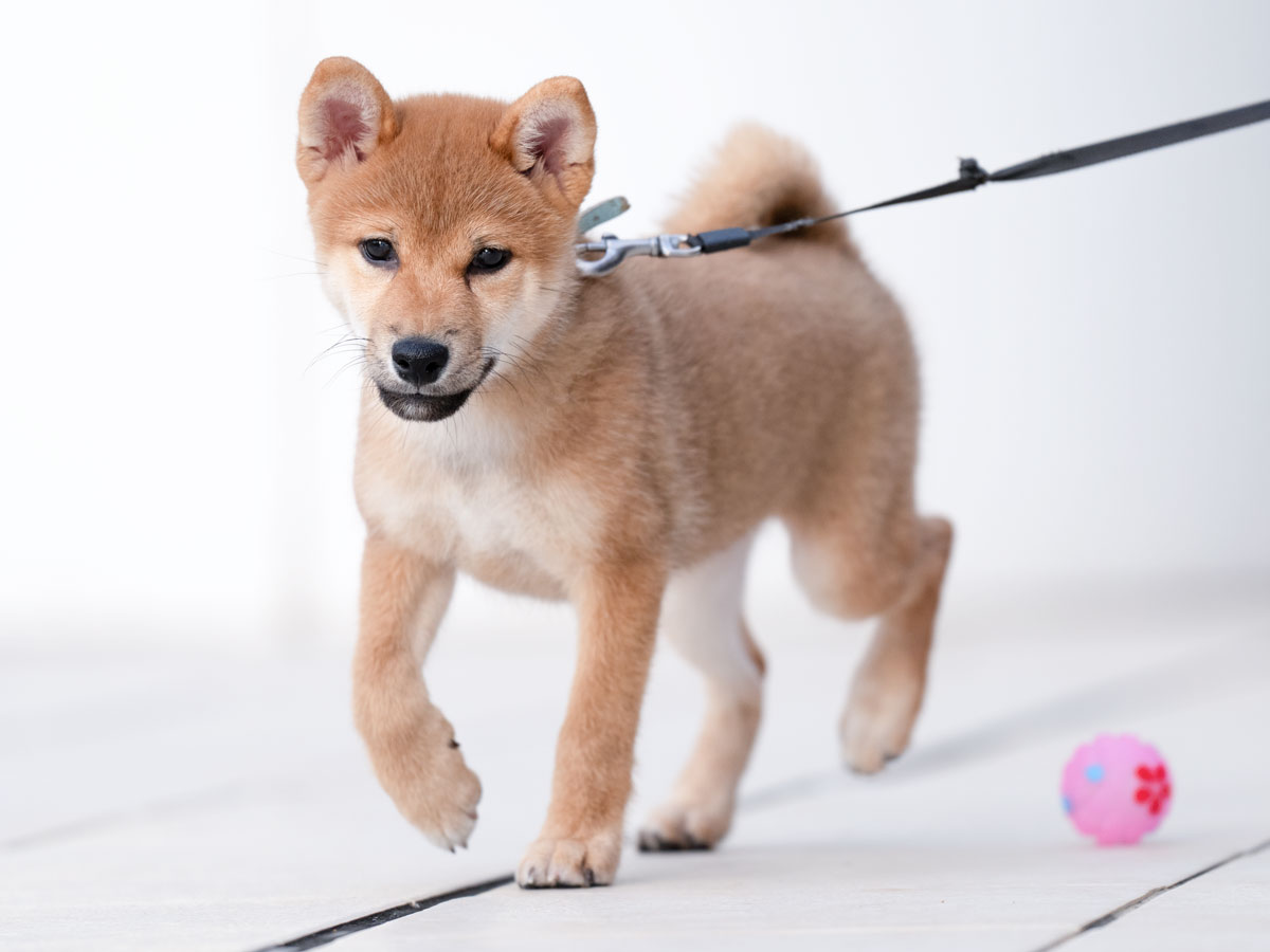 DSC04683-Edit DSC04683-Edit