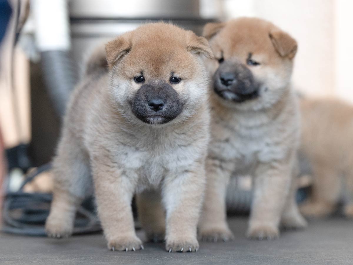 DSC02806-Edit DSC02806-Edit