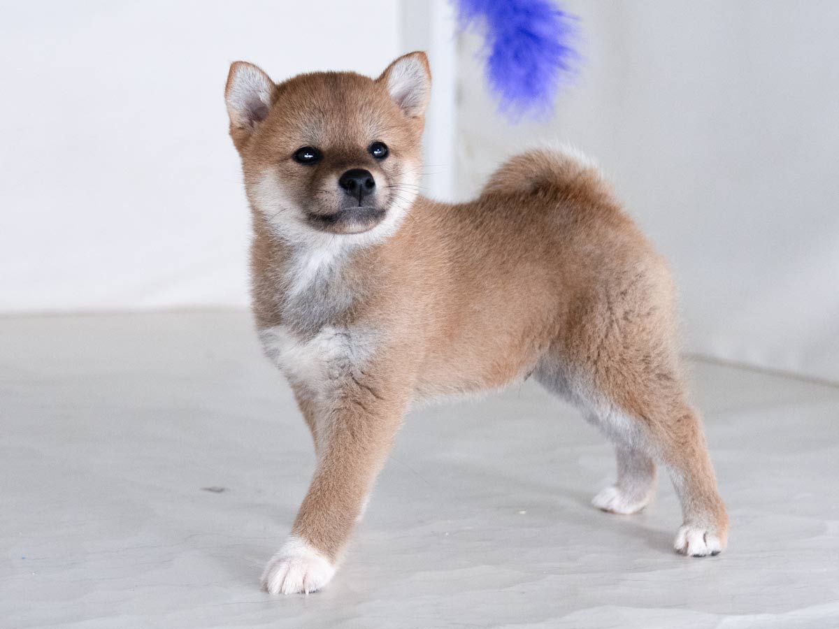 DSC00075-Edit DSC00075-Edit