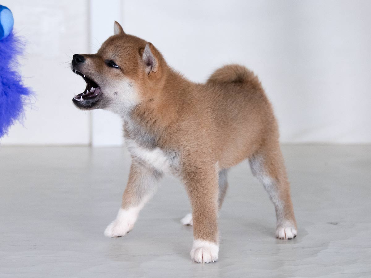 DSC00299-Edit DSC00299-Edit