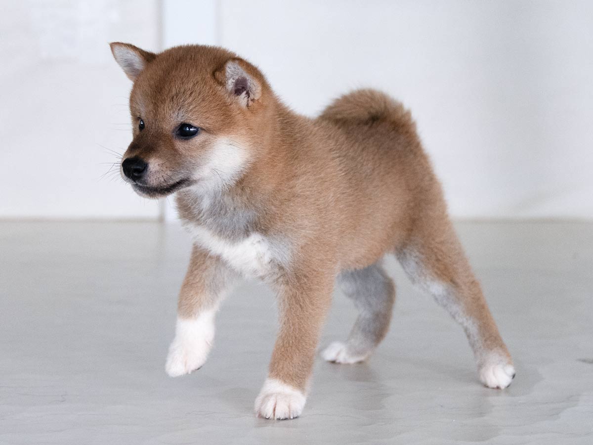 DSC00313-Edit DSC00313-Edit