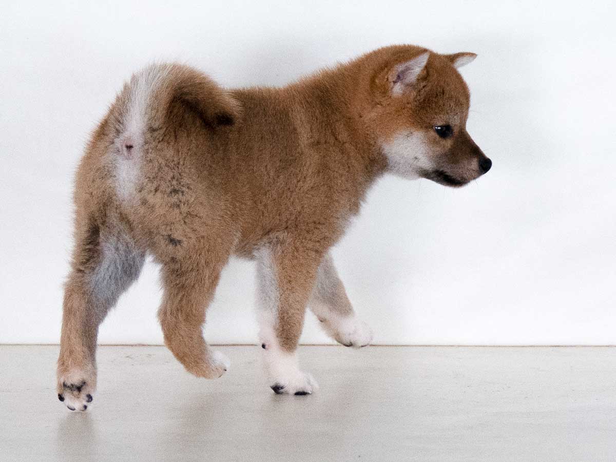 DSC00439-Edit DSC00439-Edit