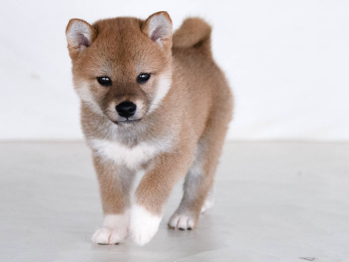 DSC00560-Edit DSC00560-Edit