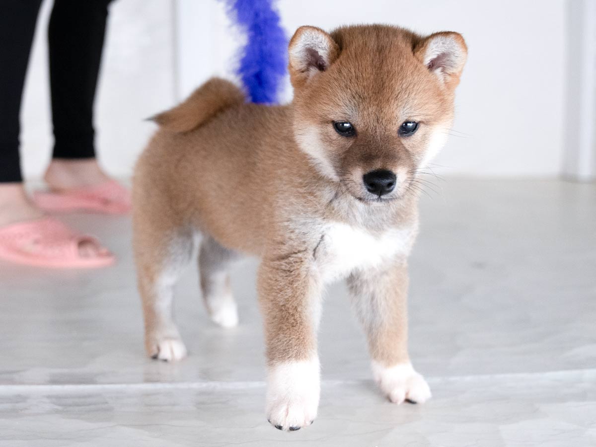 DSC00613-Edit DSC00613-Edit