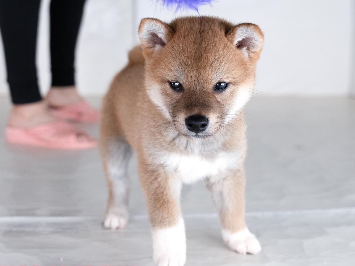 DSC00630-Edit DSC00630-Edit