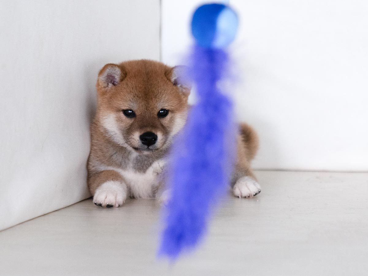 DSC00667-Edit DSC00667-Edit