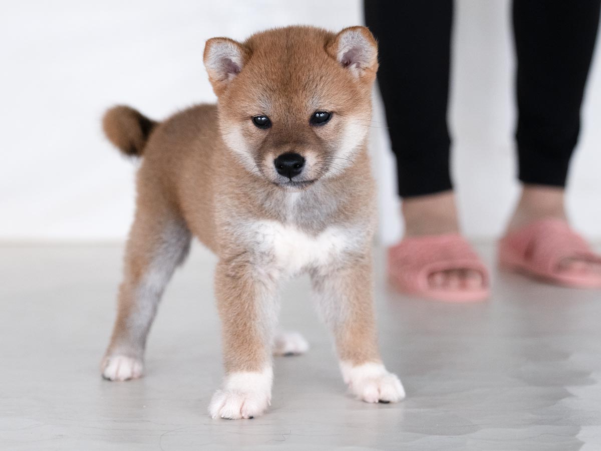 DSC00736-Edit DSC00736-Edit