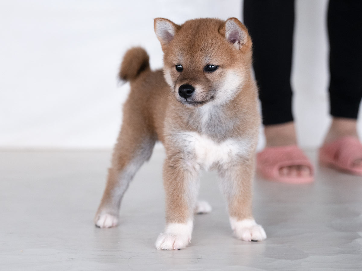 DSC00787-Edit DSC00787-Edit