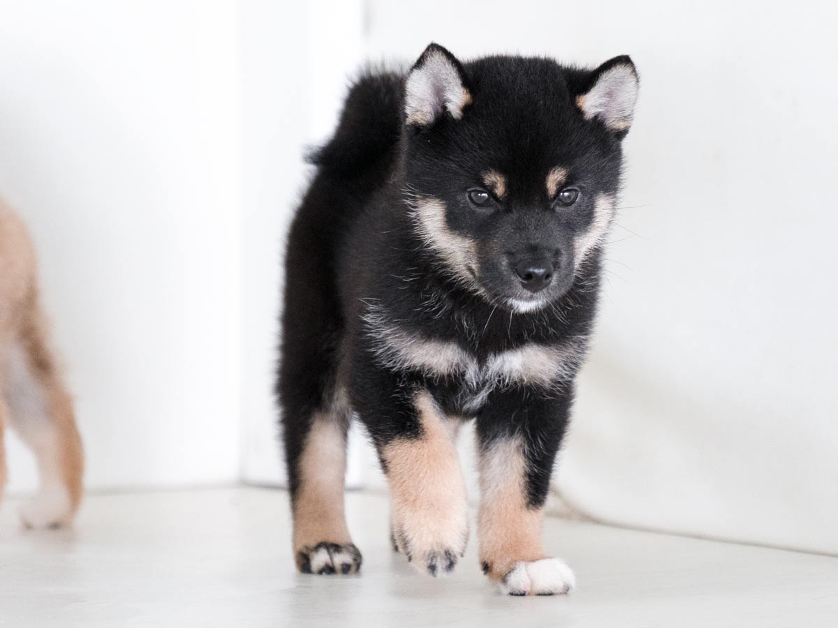 DSC06740-Edit DSC06740-Edit