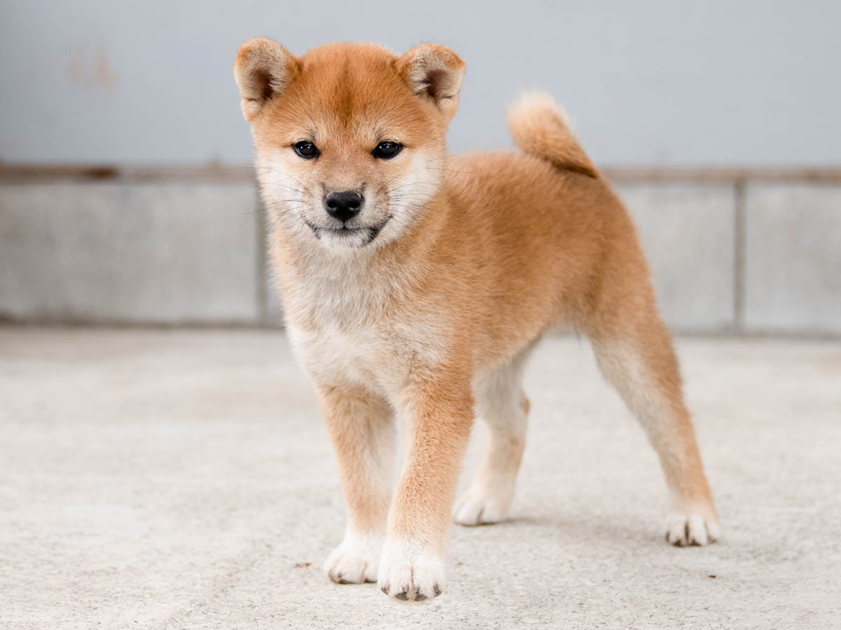 DSC00975-Edit DSC00975-Edit