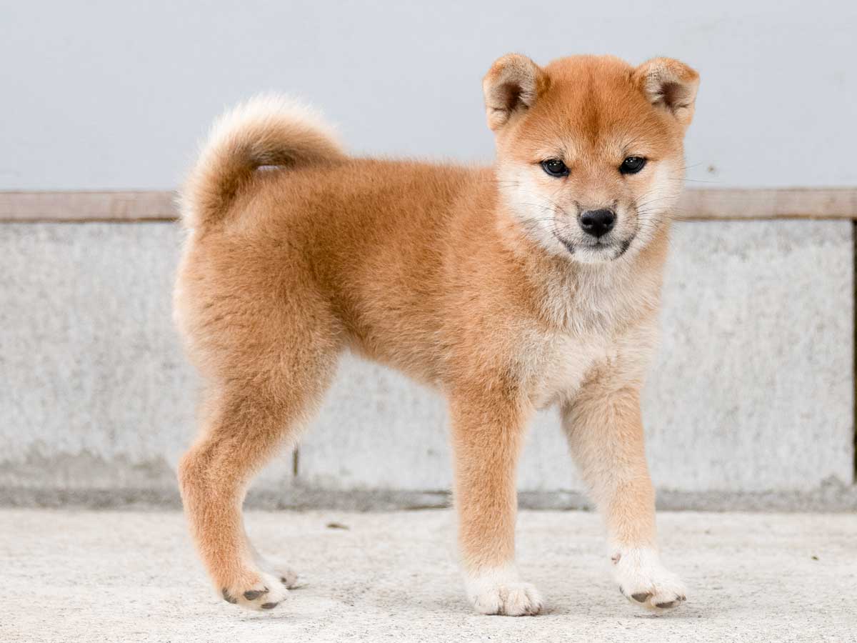 DSC01008-Edit DSC01008-Edit