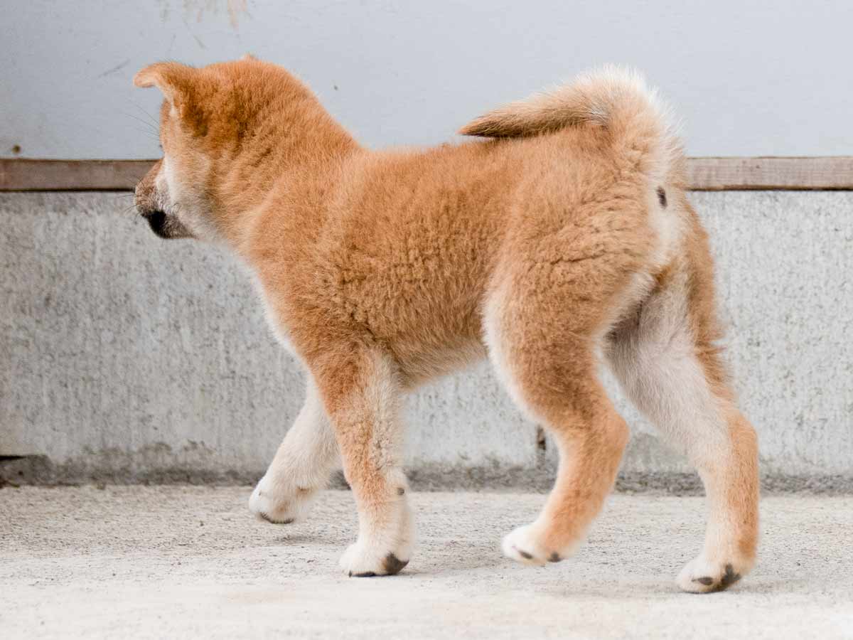 DSC01052-Edit DSC01052-Edit