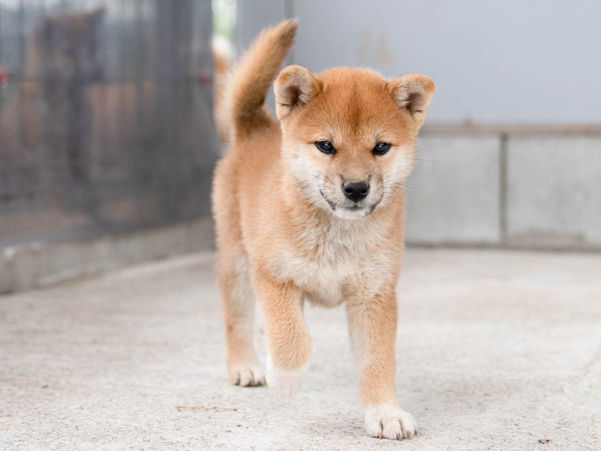 DSC01077-Edit DSC01077-Edit