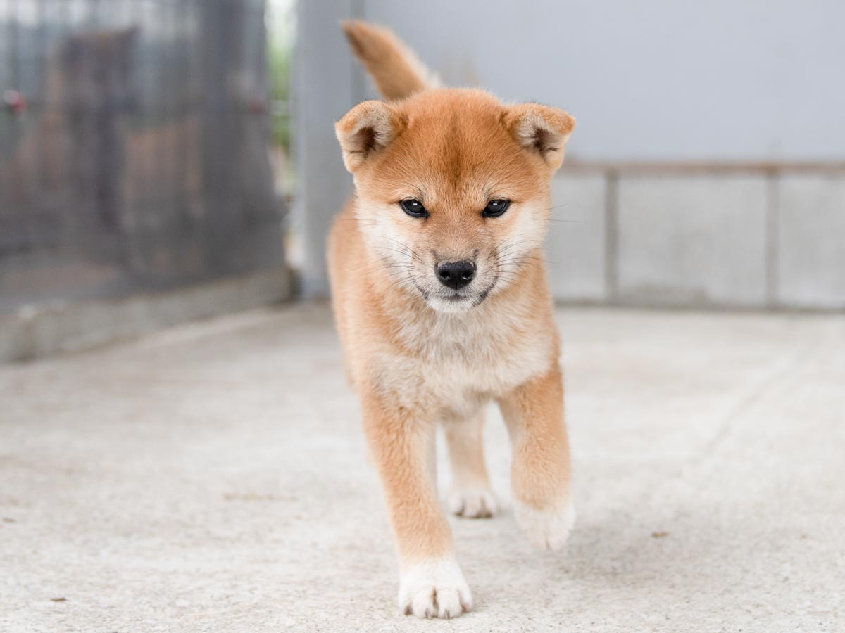 DSC01082-Edit DSC01082-Edit