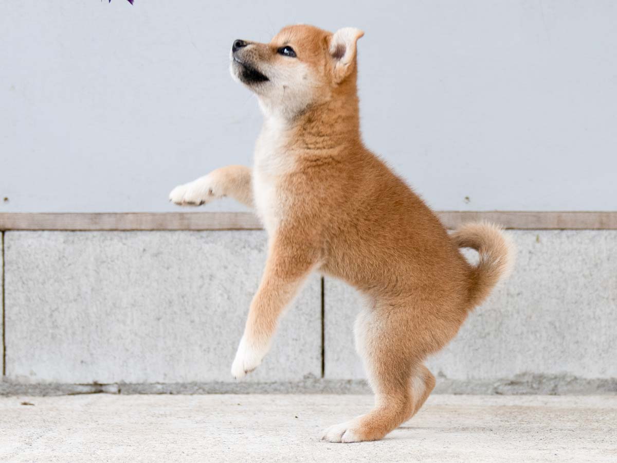 DSC01128-Edit DSC01128-Edit