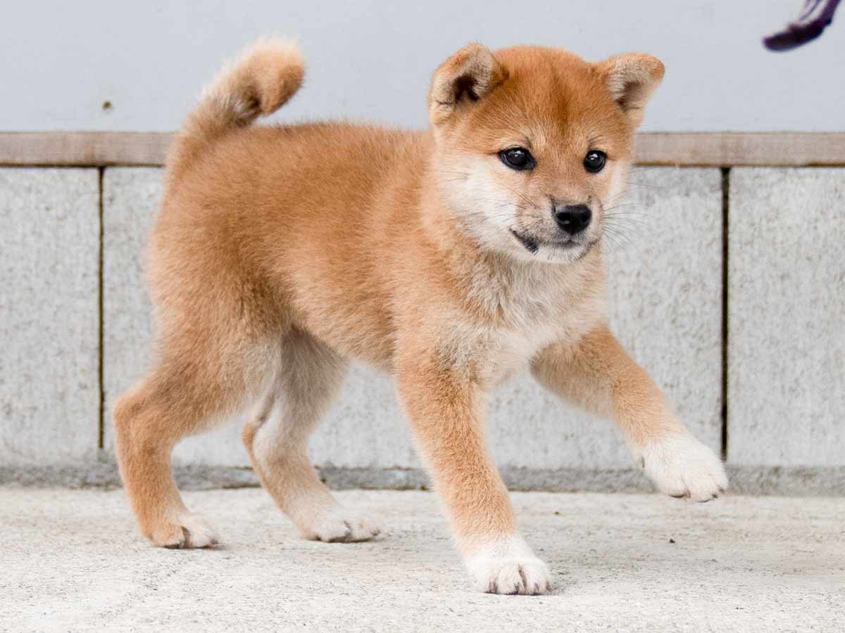 DSC01205-Edit DSC01205-Edit