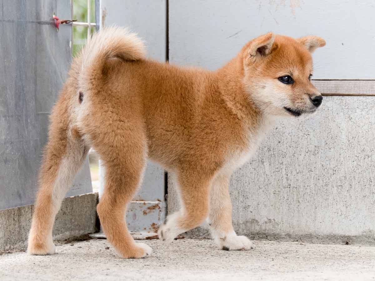 DSC01257-Edit DSC01257-Edit