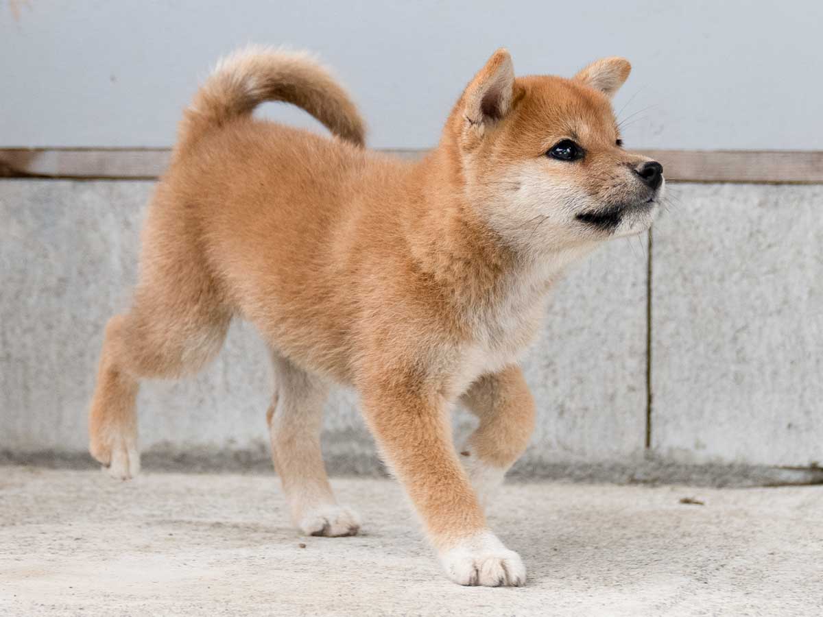 DSC01273-Edit DSC01273-Edit