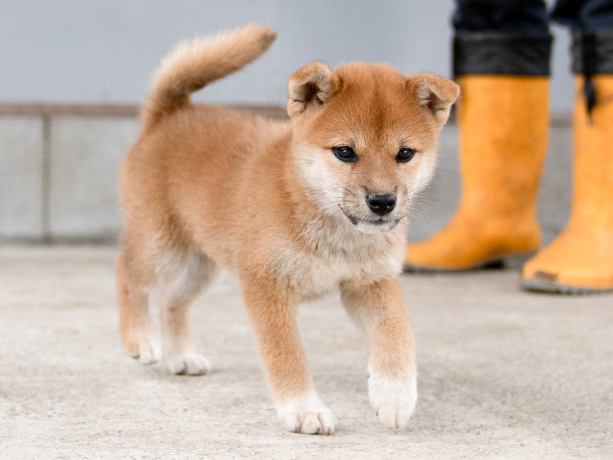 DSC01312-Edit DSC01312-Edit