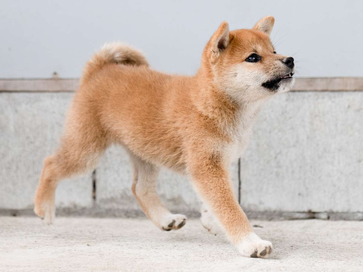 DSC01401-Edit DSC01401-Edit