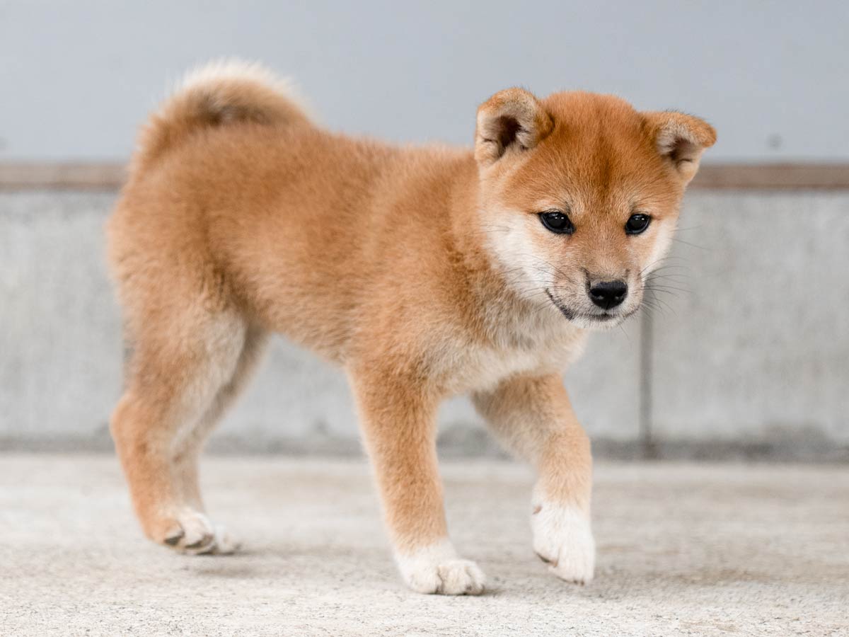 DSC01430-Edit DSC01430-Edit