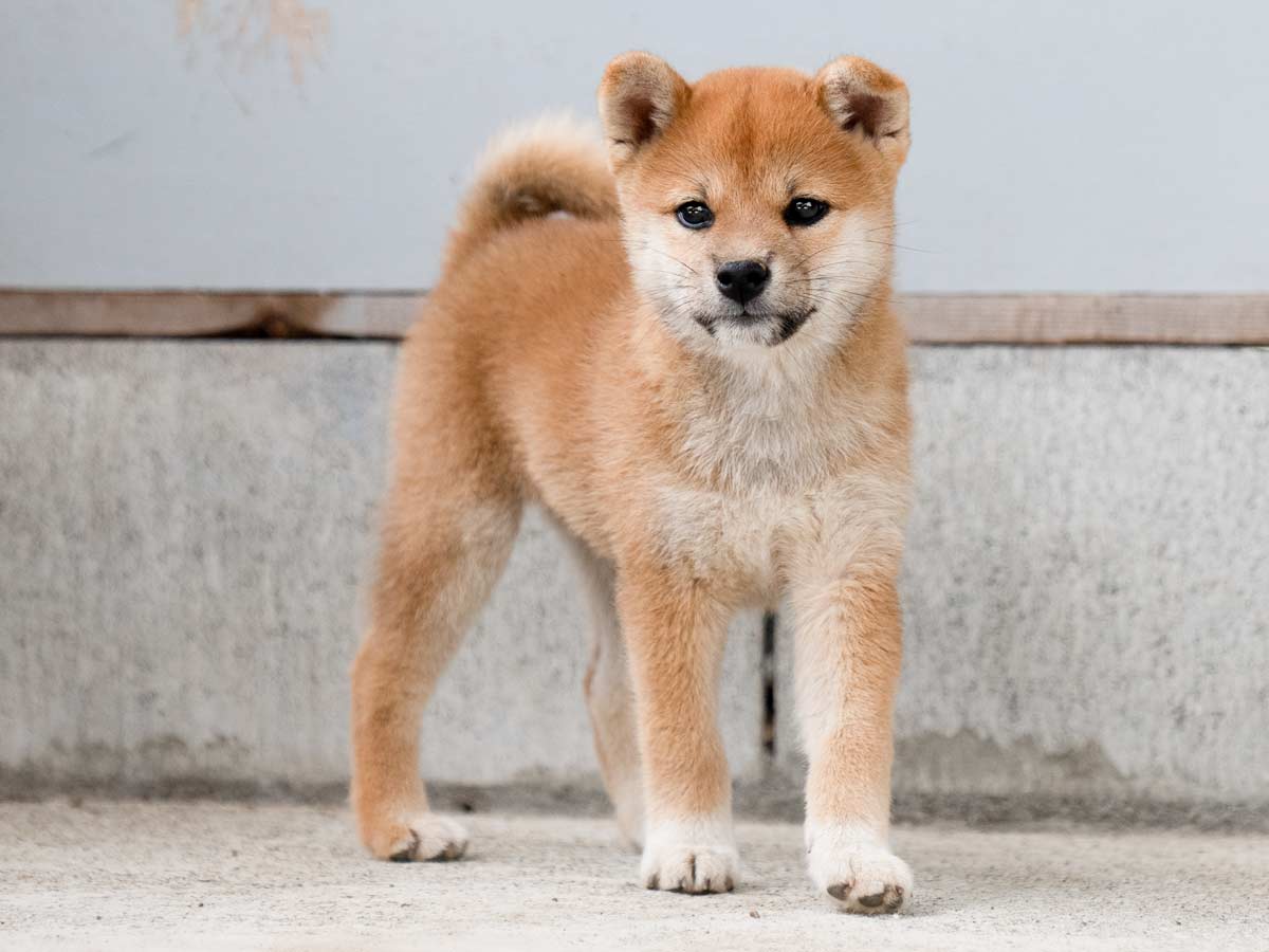 DSC01568-Edit DSC01568-Edit