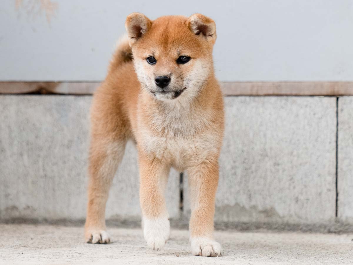 DSC01577-Edit DSC01577-Edit