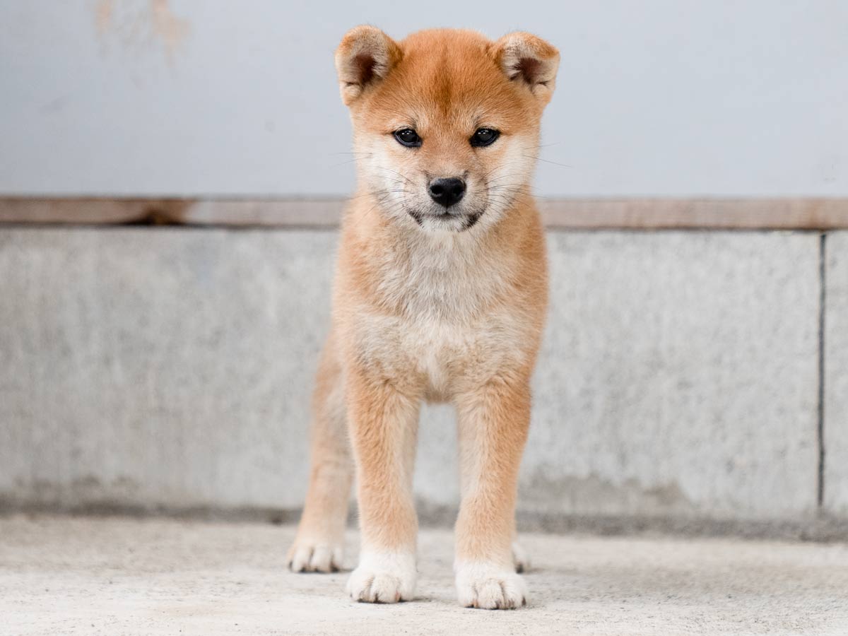 DSC01676-Edit DSC01676-Edit