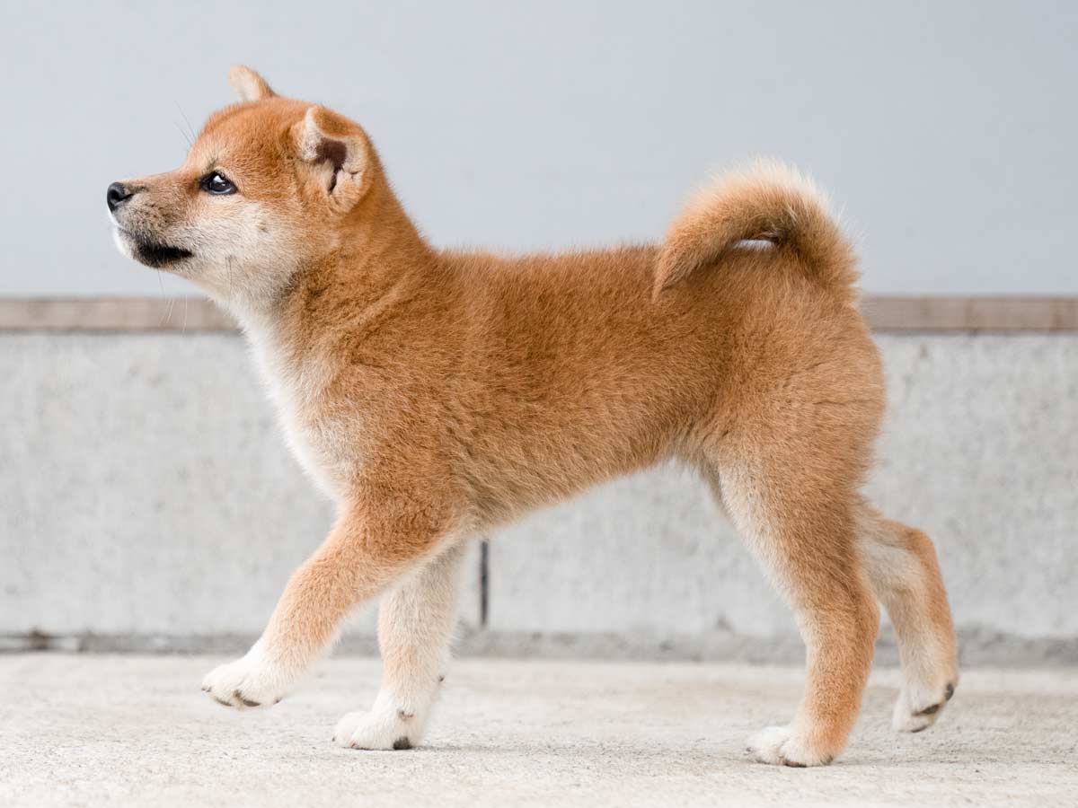 DSC01751-Edit DSC01751-Edit