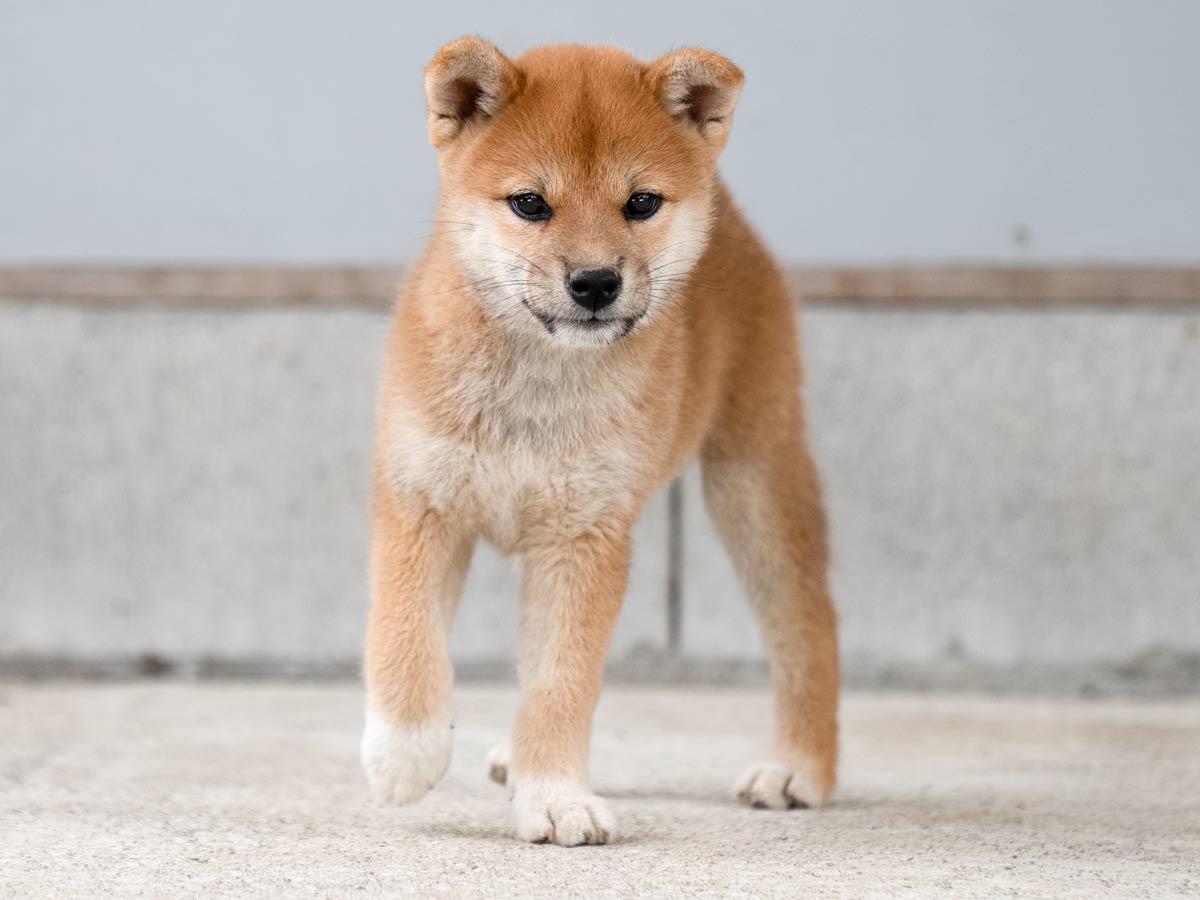 DSC01765-Edit DSC01765-Edit