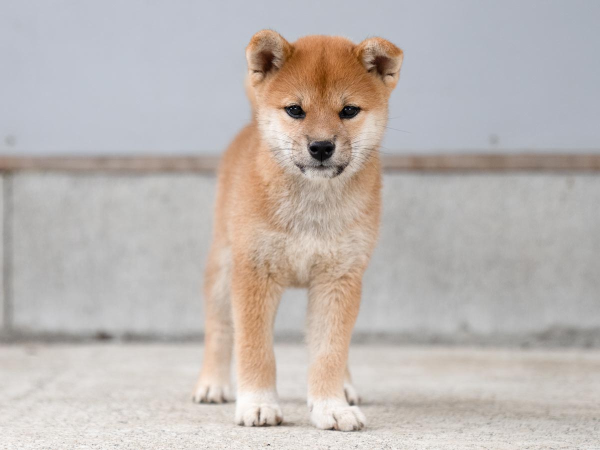 DSC01817-Edit DSC01817-Edit