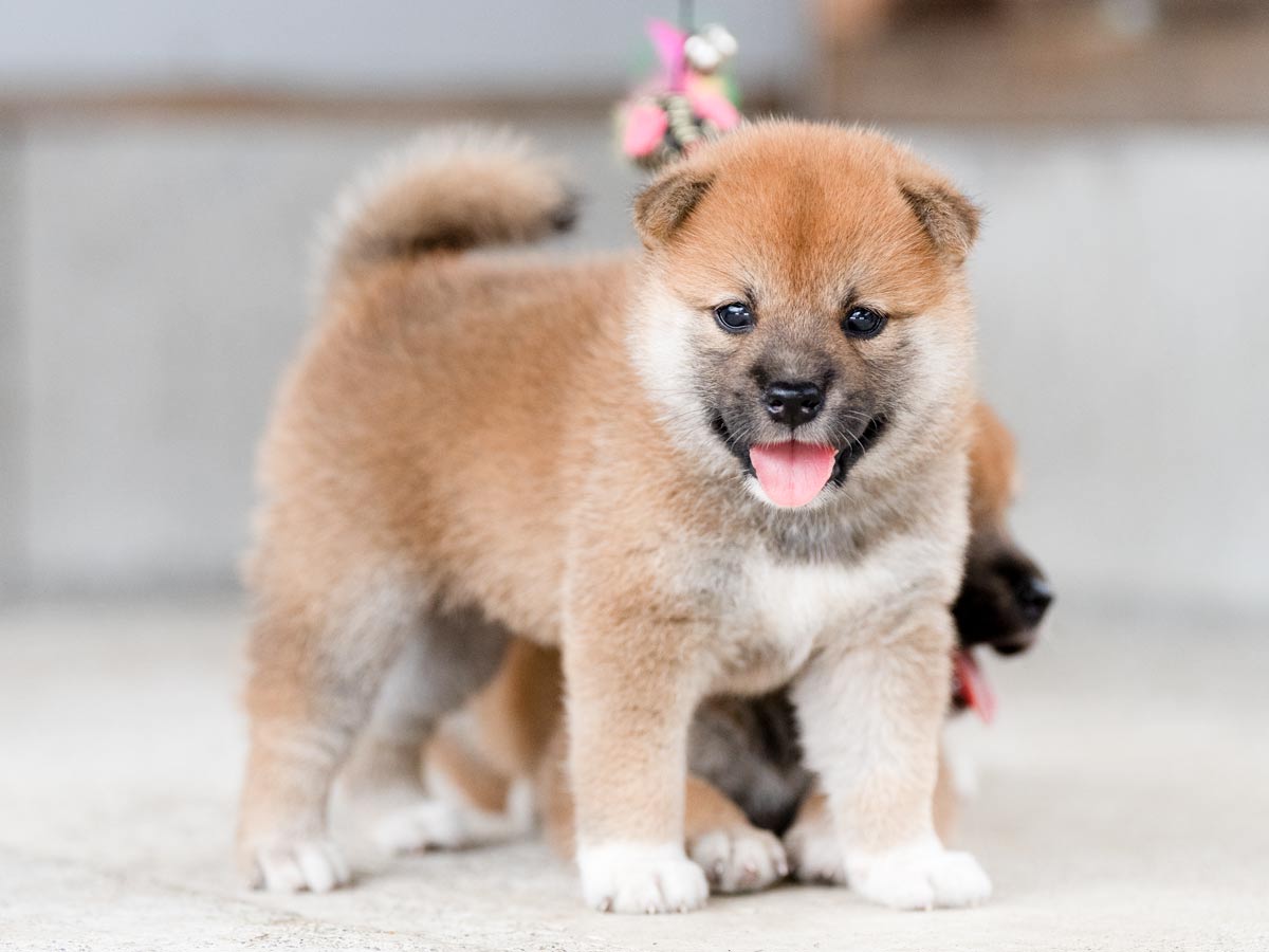 DSC06910-Edit DSC06910-Edit