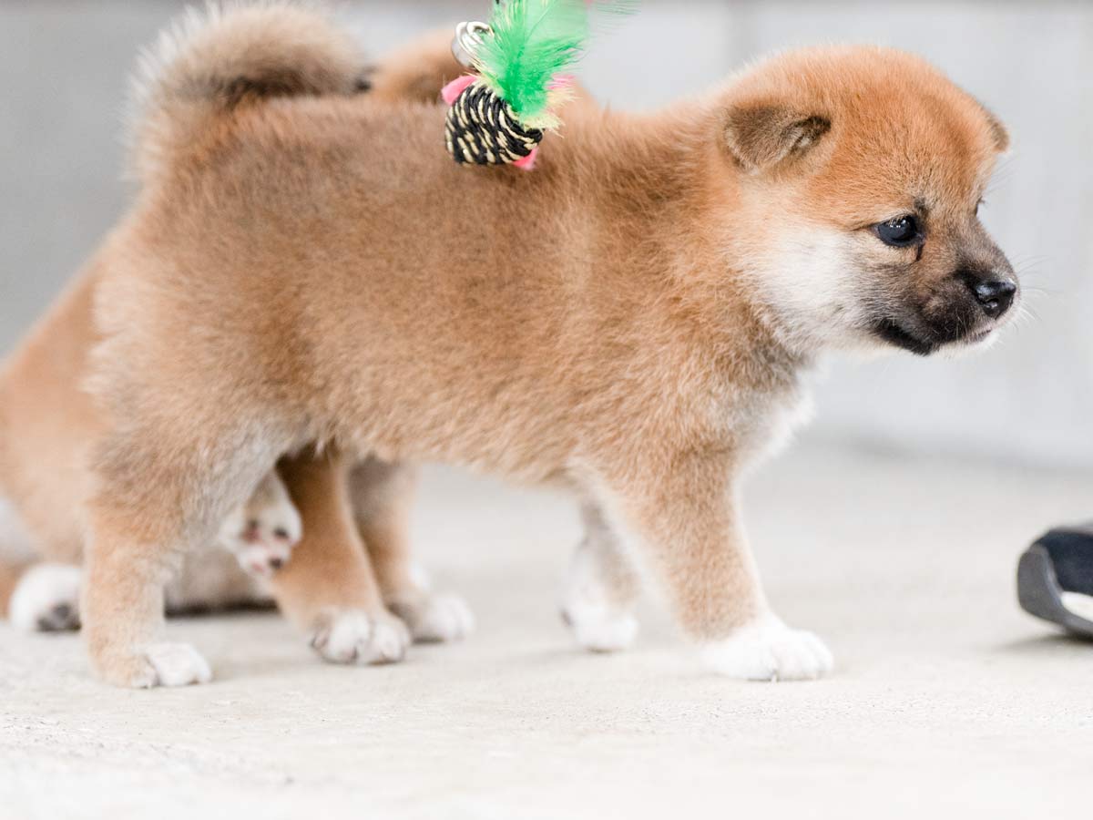 DSC06928-Edit DSC06928-Edit