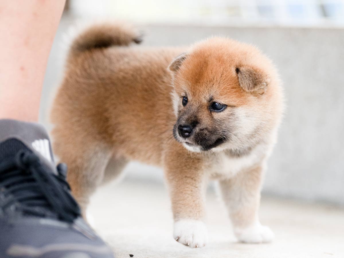 DSC06956-Edit DSC06956-Edit