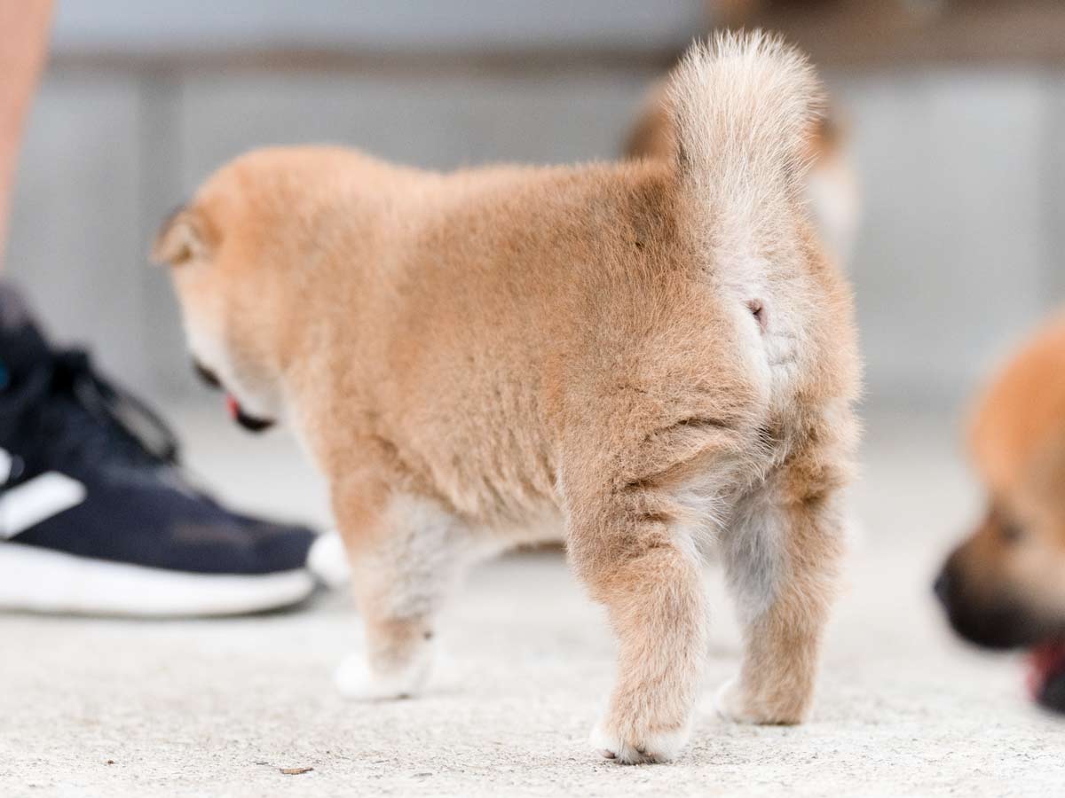 DSC07015-Edit DSC07015-Edit