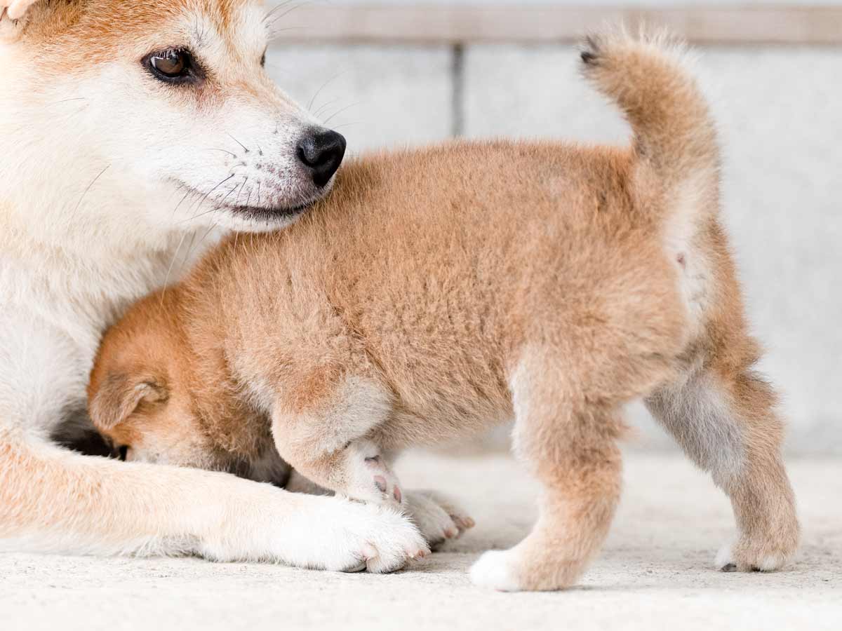 DSC07067-Edit DSC07067-Edit