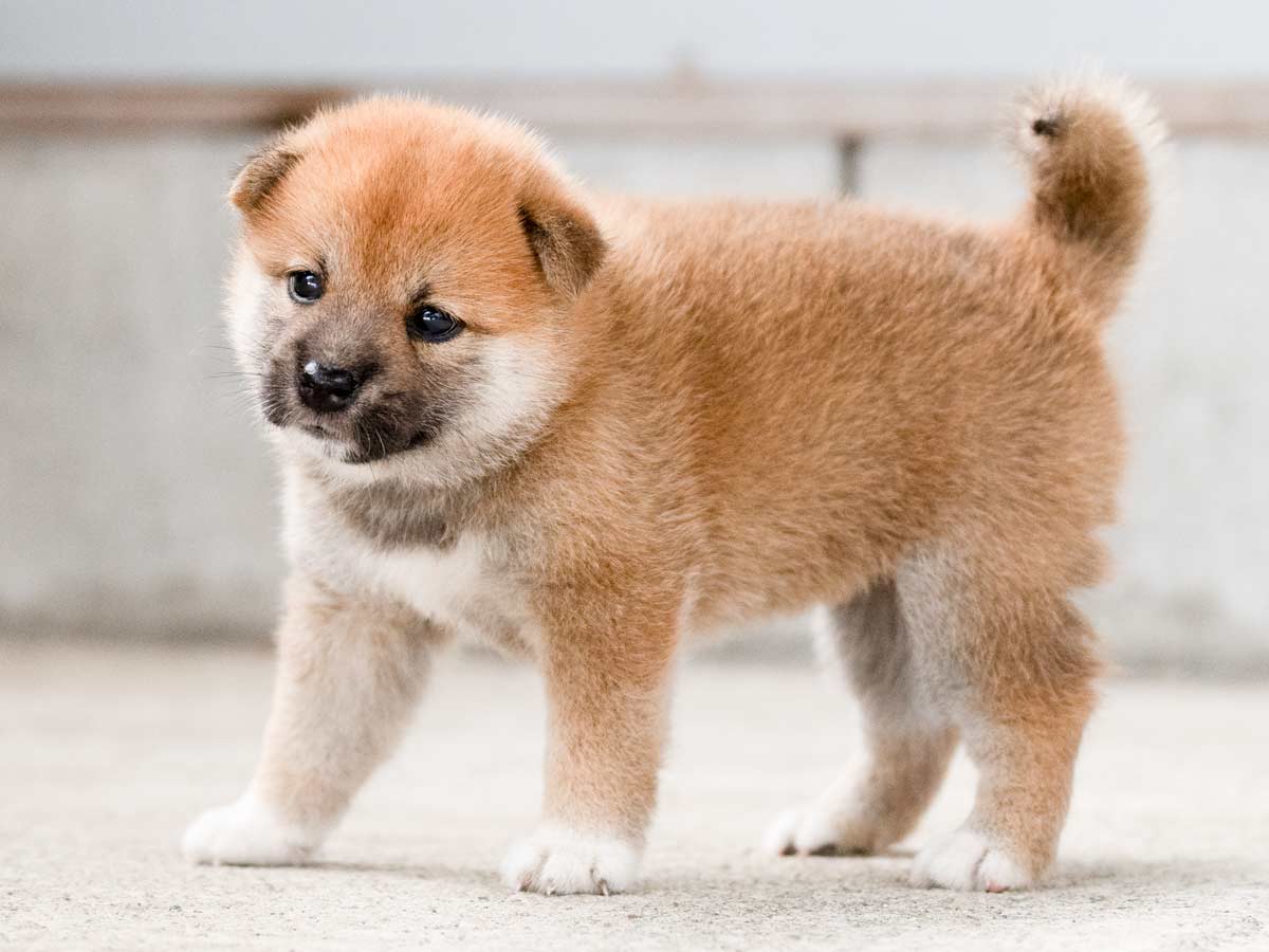 DSC07146-Edit DSC07146-Edit