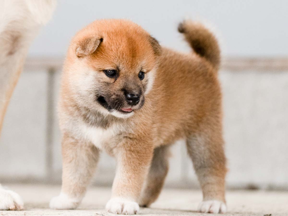 DSC07249-Edit DSC07249-Edit